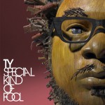 TY Special Kind Of Fool (2010)