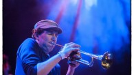 Who?  Matthew Halsall, trumpeter and Gondwana Records label boss What?  All three albums now available...